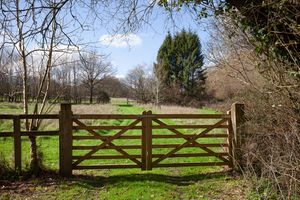 Garden - click for photo gallery